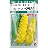 トウモロコシ 種子 スイートコーン キャンベラ86 2000粒 とうもろこし