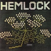 Amazon.co.jp: Bright City: ミュージック