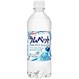 Amazon サントリー Popメロンソーダ 自動販売機用 430mlペットボトル 24本入 2ケース サントリーフーズ 炭酸飲料 通販