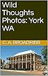 Wild Thoughts Photos: York WA (English Edition)