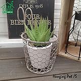 シャビー感がたまらない♪ワイヤーポットカバー S(3号鉢サイズ) 62628