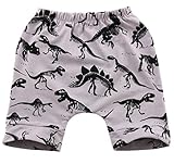 Baby Boys Girls Dinosaur Trouser Bottoms幼児レギンス汗ハーレムショートパンツ US サイズ: 12-18 Months カラー: グレー