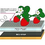 【北海道・沖縄・離島配送不可】 ベリーベッド NW70N-30 30cm×50m いちご 栽培用 緩衝 吸水マット 苺 イチゴ ベリーベット ベル開発 カ施