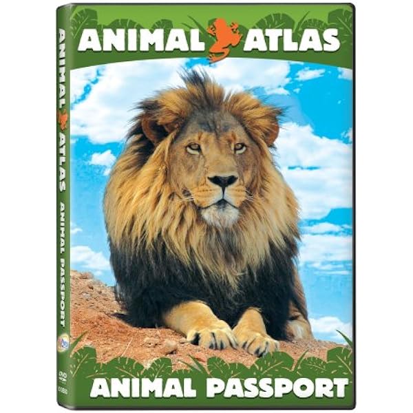 その他 Animal Atlas: Puppy Party Holiday [DVD] Amazon.com: Puppy Party Holiday : Puppies!, LongNeedle