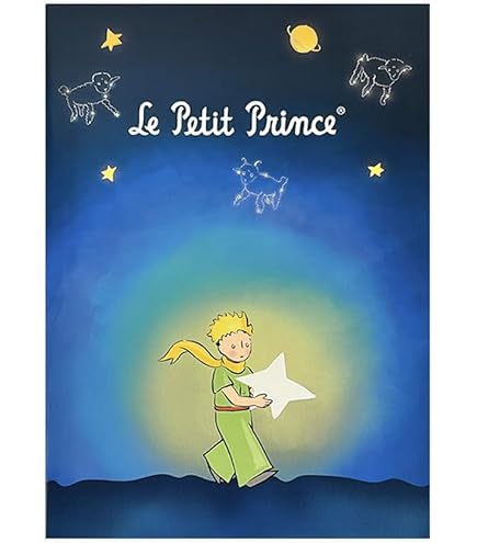 星の王子さま エンディングノート Amazon.co.jp: 星の王子さま エンディングノート : 文房具・オフィス用品