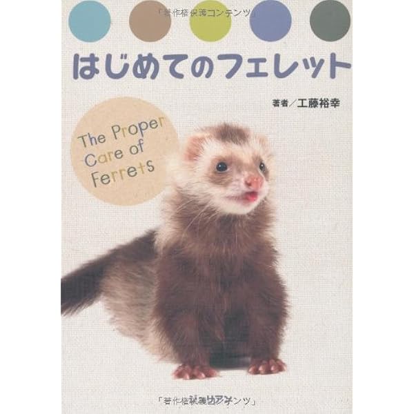 Amazon.co.jp: 幸せなフェレットの育て方 : 田向 健一: 本
