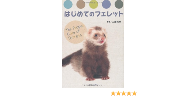 はじめてのフェレット どうぶつシリーズ 工藤裕幸 内藤惠 本 通販 Amazon
