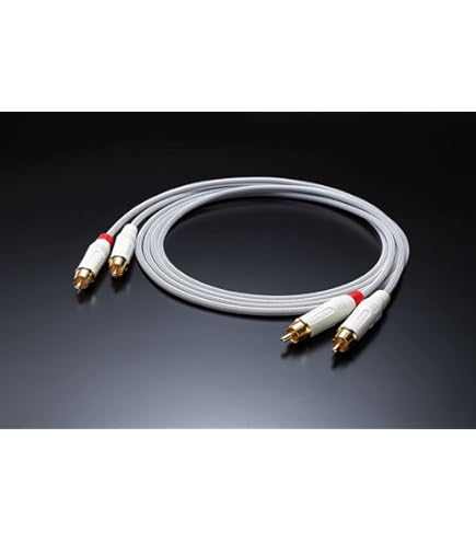 Amazon | AET ノイズイジェクター RCA端子 EVO-NE0510NI-R | AET
