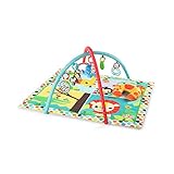 Bright Starts ブライトスターツ ルームフォーファン・アクティビティジム (10905) Kids II