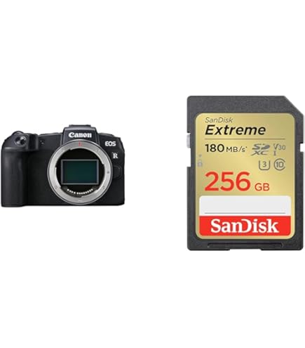 【新品未使用品】NIKON キャノン一眼レフ用のメモリカード Amazon | 【SDカードセット】Nikon ミラーレス一眼 Z fc ボディ