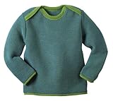 Organic unisex merino wool jumper Berry-Green-86/92 12-24m by Disana