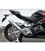 Amazon | アクラポヴィッチ(AKRAPOVIC) (アクラポビッチ) スリップオン