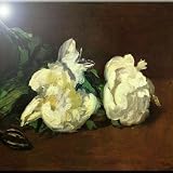 Rikki Knightクロード・モネアートStill Lifeホワイト牡丹セラミックアートタイル8 " x 8 "