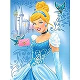 Disneys Princess Cinderella Plush Throw Blanket, Little Friends, 60x80 Inches [並行輸入品]