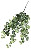 asca 造花 リップルアイビーバイン クリームグリーン 全長58cm・葉径2.5~8cm A-42573-053A
