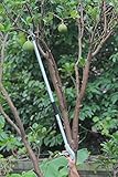 Worth Garden Long Reach Pruner，Long Arm Trimmer，Long Handled Pruning Shears, Ideal Picker & Trim Equ