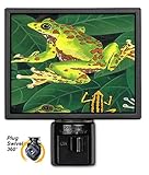 アートプレートnl-117 Frogs Night Light