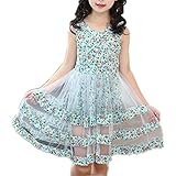WIN フォーマル 女の子セレモニー　パーティー ピアノ 女の子 フォーマルドレス 結婚式 入園式 発表会 演奏会 ワンピース キッズドレス コンクール　お嬢様 (110cm, ブルー)
