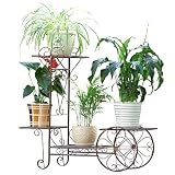 Chengxin Shop-アウトドアプラントスタンド/4階段のフラワーラック - 植物の花瓶のための鉄の金属立っている棚安定的な植物スタンドバルコニー/リビングルーム/屋外/屋内ガーデン装飾のための