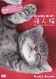 ふわねこむーびー第1弾!「寝ん猫」 <板東寛司 初のDVD作品!!> ふわねこむーびー第1弾!「寝ん猫」 <板東寛司 初のDVD作品!!>