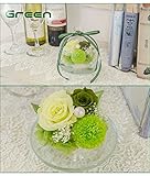 プリザーブドフラワードームアレンジ ポムポムドーム 5カラー (グリーン)