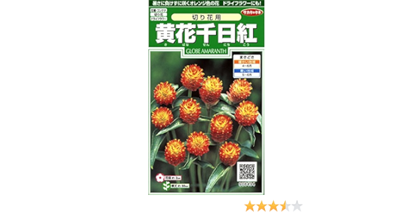 Amazon サカタのタネ 実咲花6494 黄花千日紅 切り花用 花