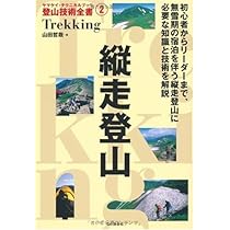 フリークライミング (ヤマケイ・テクニカルブック 登山技術全書