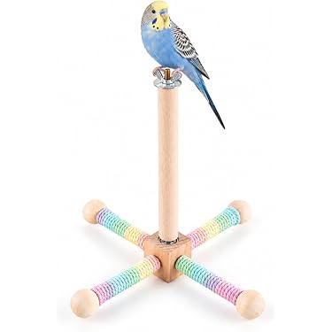 Amazon.co.jp 最新リリース: 鳥用品 の新着ランキングです。