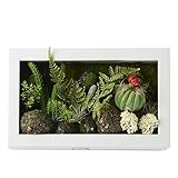 3D Artificial Flowers Wall Hanger Ball Cactus Moss on the Stone Leaves Ferns with Frame Shape Vase H