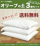 【3袋セット販売】 オリーブの土 （肥料入り） （42Ｌ） 【資材】 オリーブ専用 培養土 【北海道、沖縄、離島不可】