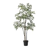 IKEA/イケア　FEJKA：人工観葉植物170 cm　ベンジャミン（40375172）