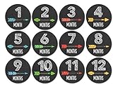 Months In Motion - Baby Month Stickers - Neutral Baby Monthly Sticker- Tribal Arrows (1107) [並行輸入品]