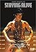 �X�e�C���E�A���C�u&nbsp;[DVD]
