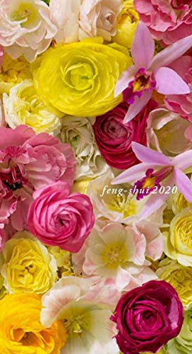 2020 ラッキー カラー 手帳