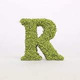 A plus floral art インテリアグリーン イニシャルモス [ R ] アルファベット オブジェ 置物 苔 イニシャル 雑貨 北欧風 インテリア