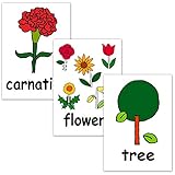 フラッシュカード【植物】■A４サイズ ■ラミネート加工■ 英語カード.com Flashcards, English word cards (Plants) ■A4 size, laminated■