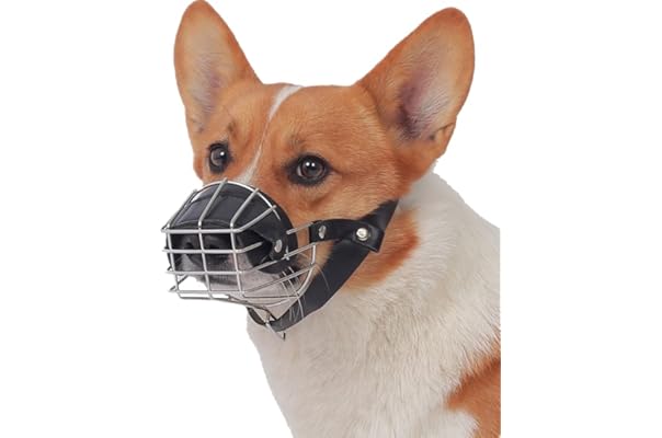 例示する 種類 小売 犬 くつ わ Iwamidonya Jp 例示する 種類 小売 犬 くつ わ Iwamidonya Jp