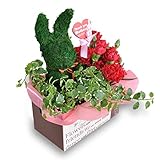 母の日 カーネーション ギフト アニマルトピアリー セット うさぎ フラワー ギフト