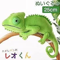 51SG9nDWpBL._AC_UL210_SR210,