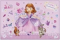 スケーター レジャーシート S ソフィア 19 ディズニー 60×90cm VS1