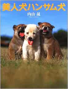 美人犬ハンサム犬 かわいいこいぬ写真集 晟 内山 本 通販 Amazon