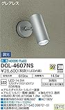 大光電機　LEDアウトドアスポット 【DOL-4607NS】