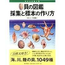 51SHMH85kdL._AC_UL210_SR210,