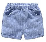 C-Princess 男の子 ショートパンツ ハーフパンツ ビーチパンツ 海パン 短パン 半ズボン ベビー キッズ 子供用 ストライプ柄 カジュアル 通園 薄いブルー 90
