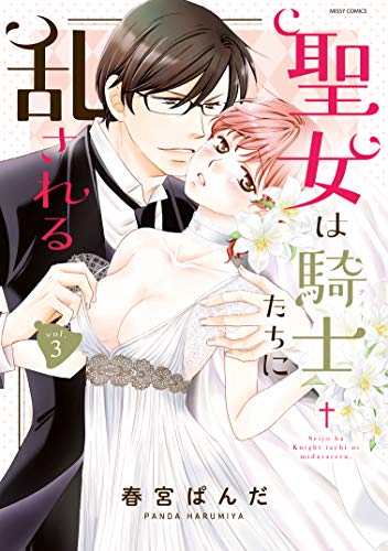 聖女は騎士たちに乱さ