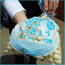 【K♡】砂丘らっきょう15キロセット ふくべ砂丘らっきょうセット（洗い）: 全農とっとり JAタウン店