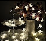 fino creare イルミネーションライト ガーデンライト 星 型 50LED led 結婚式 クリスマス 屋外 全長６m 単三電池 式 (白)