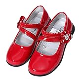 RoRykon 子供フォーマル靴 ガールズシューズ 女の子 子供靴 シューズ ドレス用 七五三 誕生日 結婚式 入園式 発表会 プレゼント 演奏会 花嫁介添人 フラワー飾り (39码/内长23.5cm