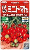 サカタのタネ 実咲野菜0101 すずなりミニトマト(赤) キャロル7 00920101