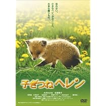 Amazon.co.jp: 子ぎつねヘレン : 大沢たかお, 松雪泰子, 深澤嵐, 小林